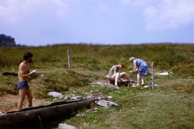 CM34 Thee staff at trough